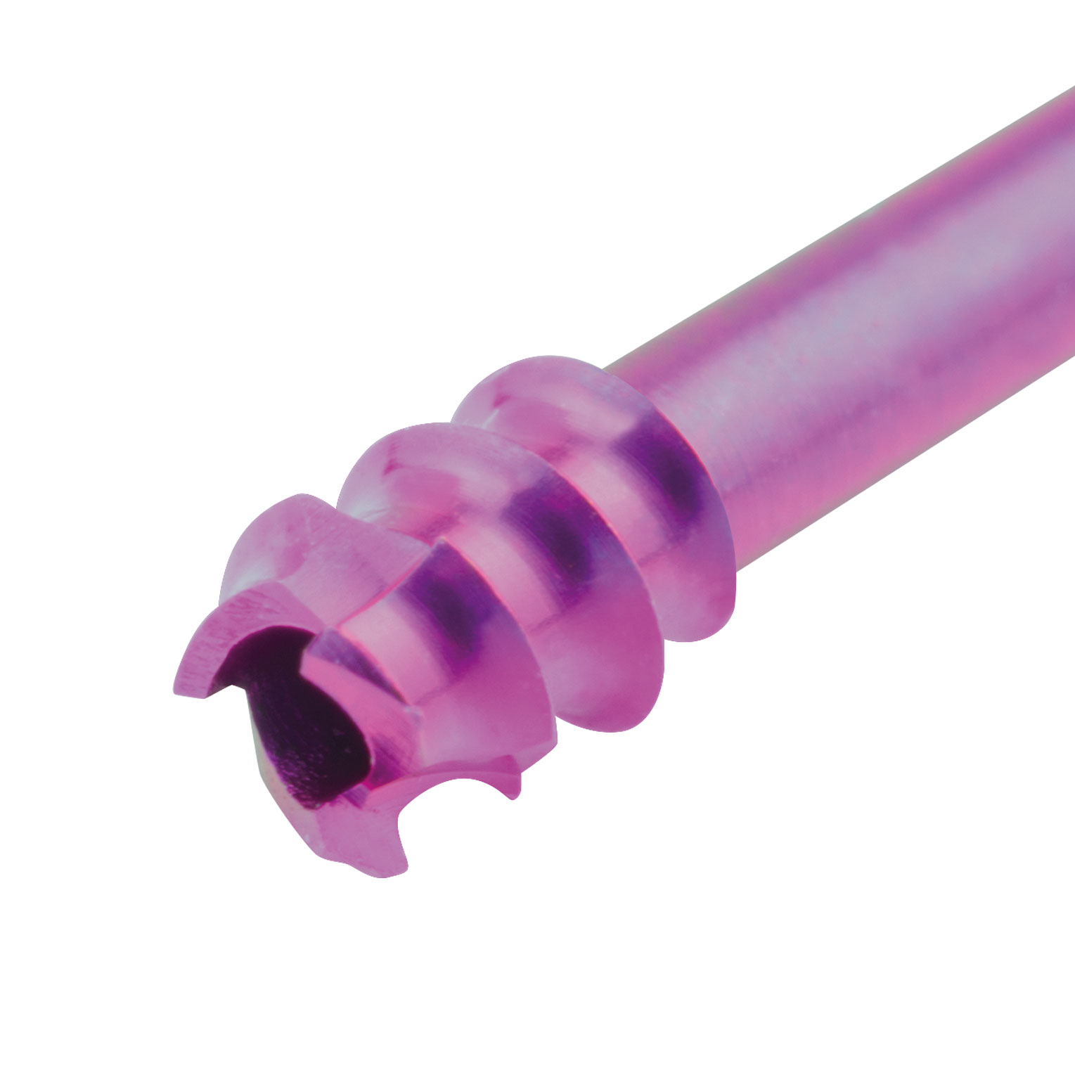 Micro compression screw