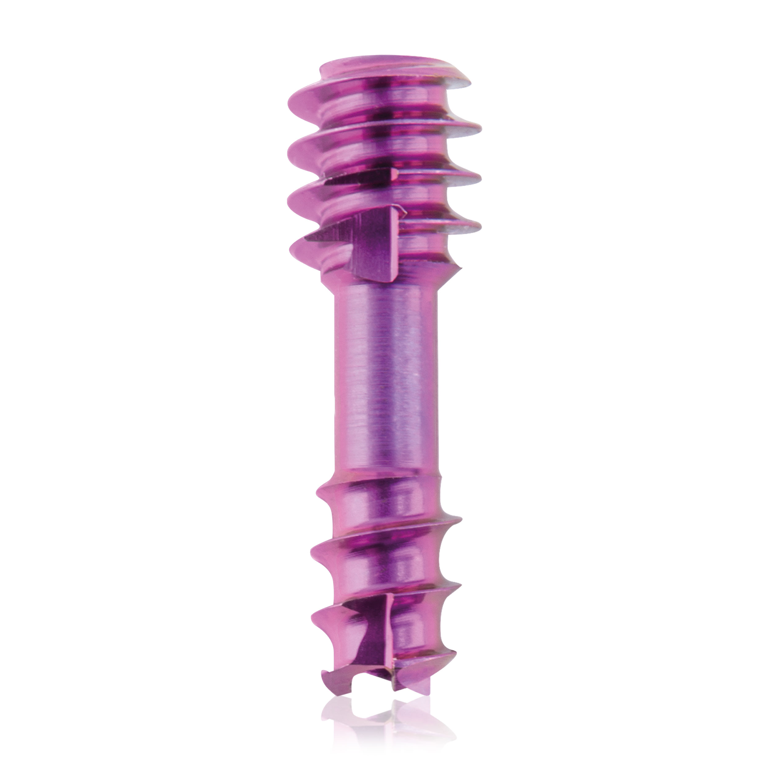 Micro compression screw