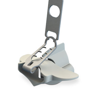 Atlanto Axial Implant Mini