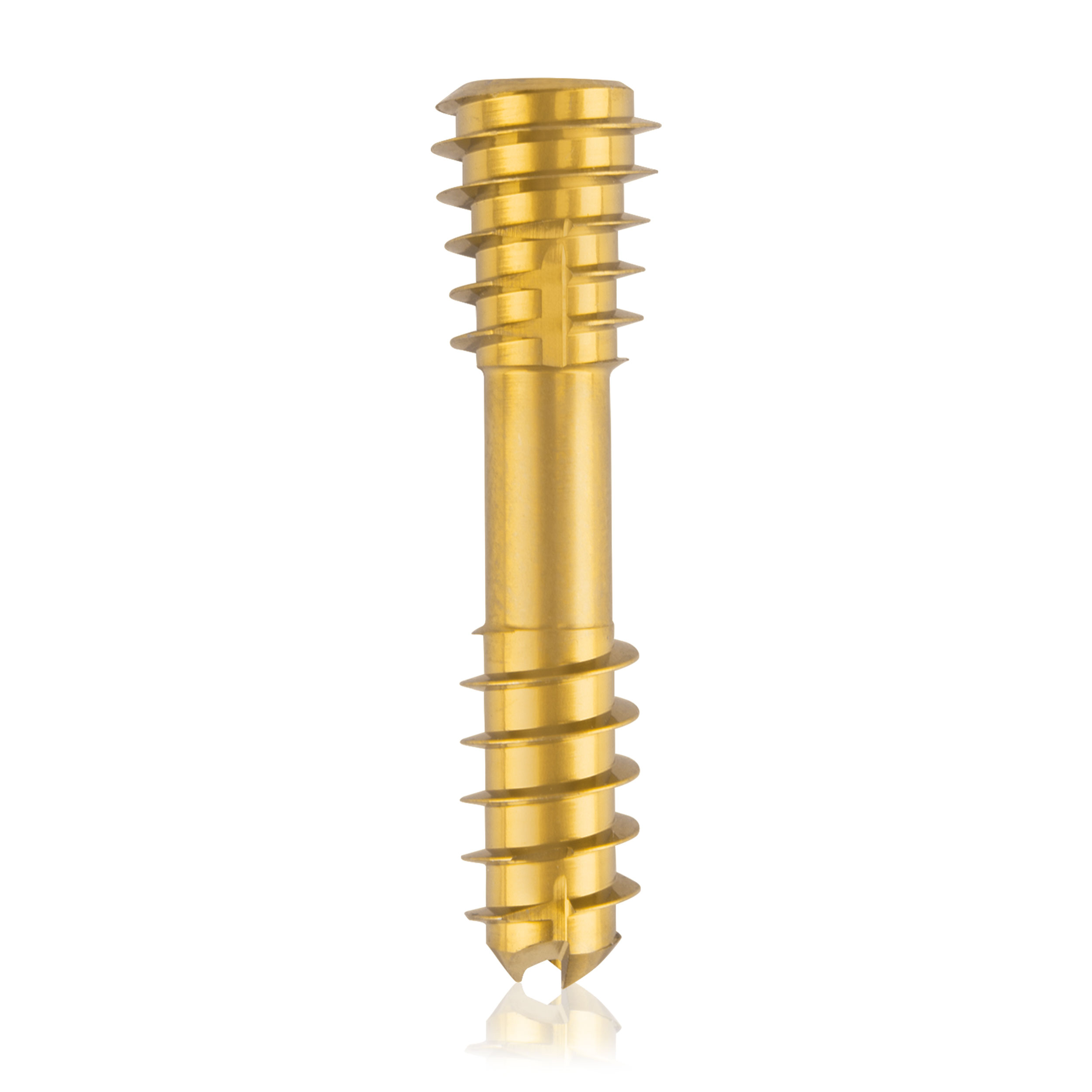 Compression screw