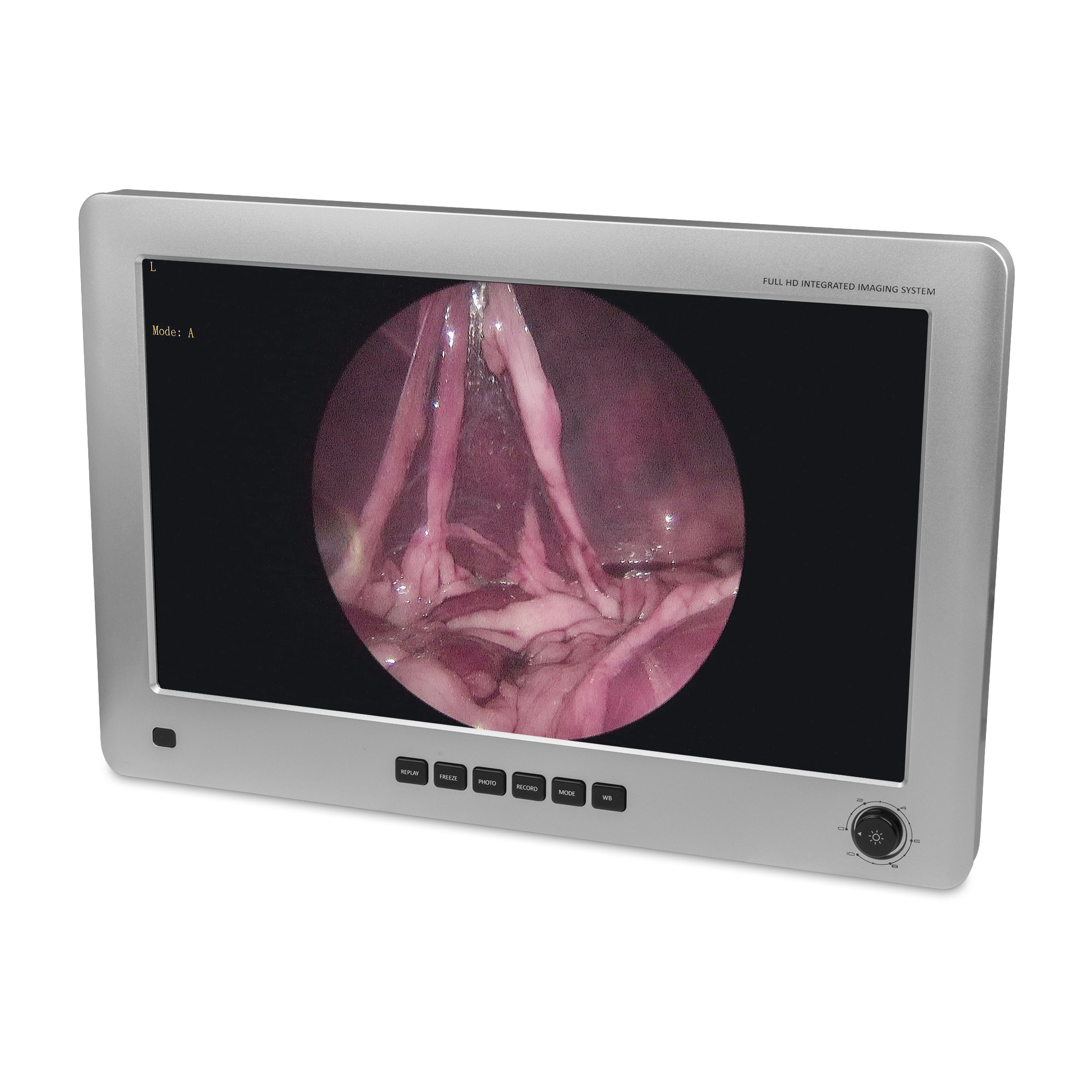 Monitor endoskopi EickView 4-i-1