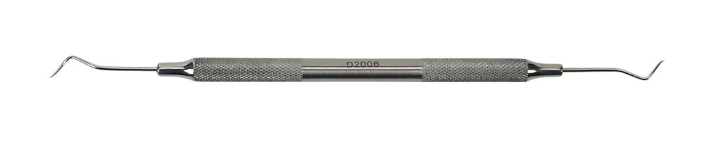 D2006 1
