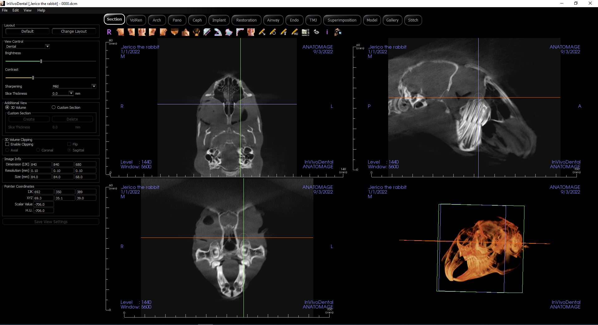 DCT 3D scanner iM3 MyVet